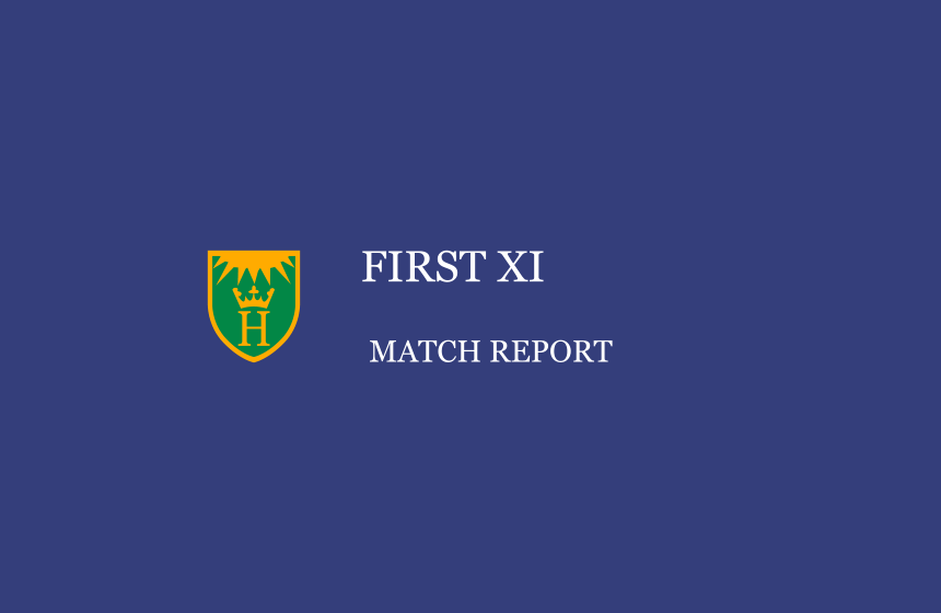 Henley v Great and Little Tew 8th July 2017 (120 Overs)